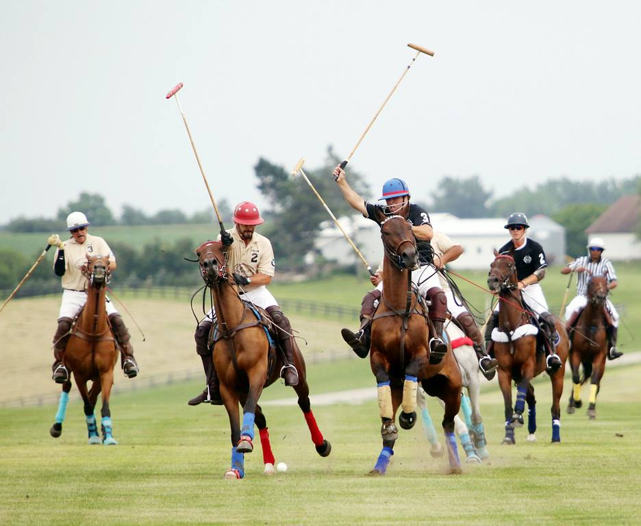 Variety Polo on the Green