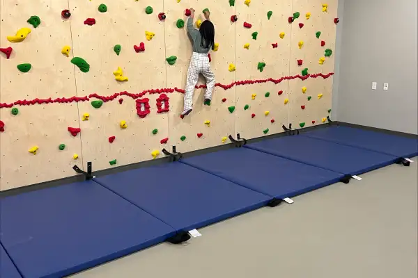 Climbing for Success