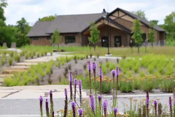 Variety Grant Helps Create a Place for Healing at Ember Recovery Campus
